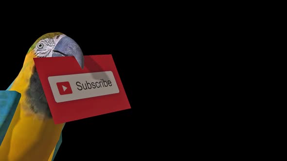 Parrot Subscribe alt