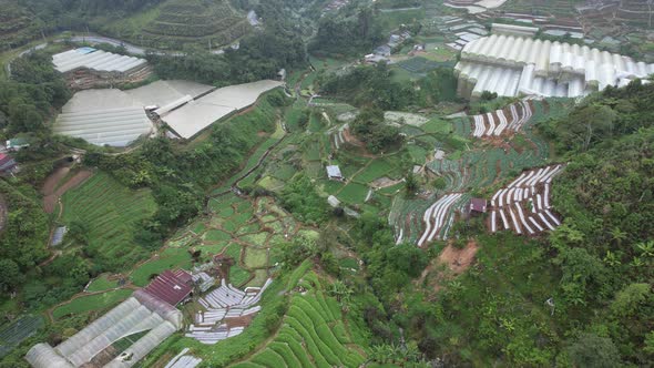 Cameron Highlands, Pahang Malaysia alt