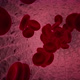 Red Blood Cells - VideoHive Item for Sale