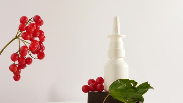 Medicinal Tincture Of Rowan Berries On A White Background Copy Space. Homeopathy Herbal Treatment.