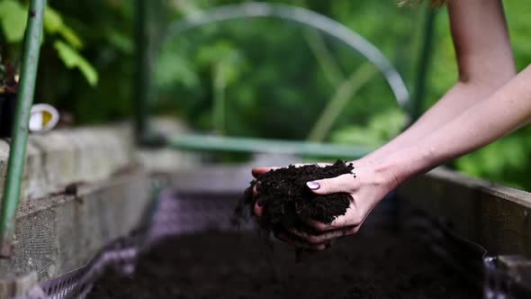 Woman  Holding Fertile Soil In Her Hands