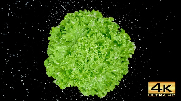 Spinning Lettuce