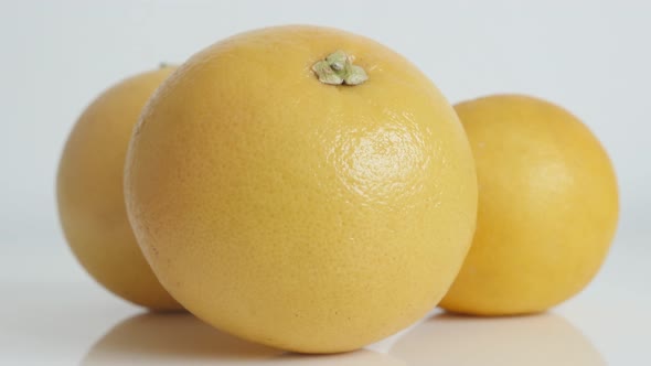 Grapefruit  Citrus paradisi on white background slow tilt 4K footage alt