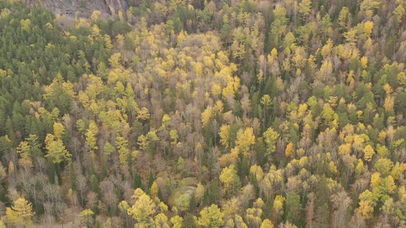 Aerial View of Beautiful Autumn Forest and Rocks in Siberia.