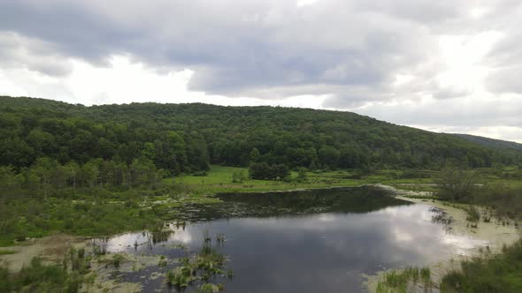 Allegheny National forest and pond drone video fly over in the summer. alt