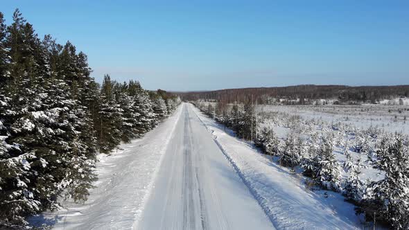 3 Winter Road Among Fir Trees