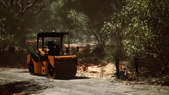 Road Roller Tractor in the Forest alt