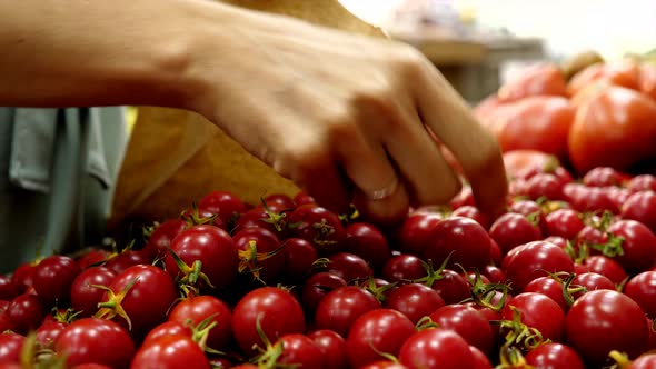 Close-up Female Hand Is Choosing a Cherry Tomatoes at Grocery Store