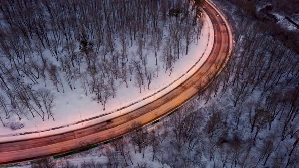 Cars driving illuminated street in snowy forest alt
