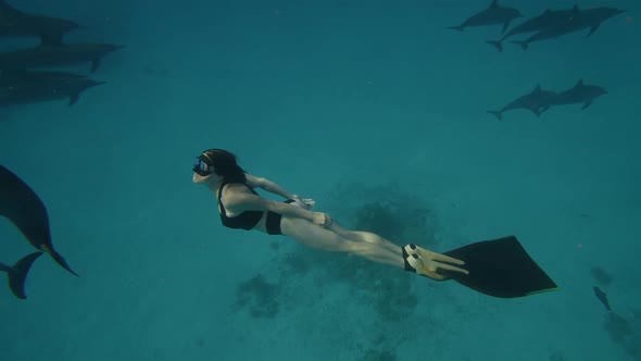 Beautiful Young Woman Swimming Underwater with Dolphins in Pristine Blue Ocean Water Amazing alt