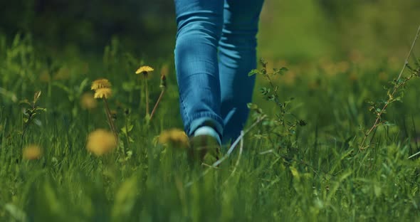Young Woman is Walking Alone in Beautiful Field Closeup of Legs on Grass Rear View  Prores