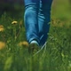 Young Woman is Walking Alone in Beautiful Field Closeup of Legs on Grass Rear View  Prores - VideoHive Item for Sale