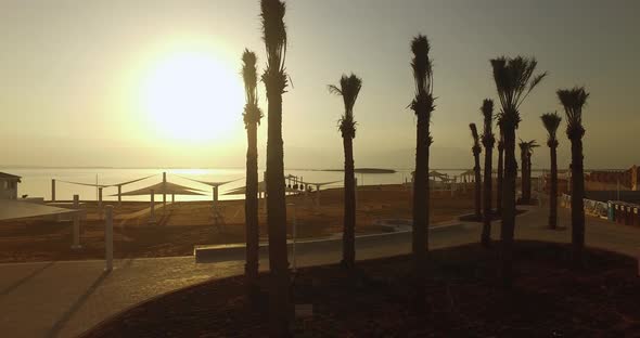 Magical Sunrise At The Dead Sea Beach With Palm Trees