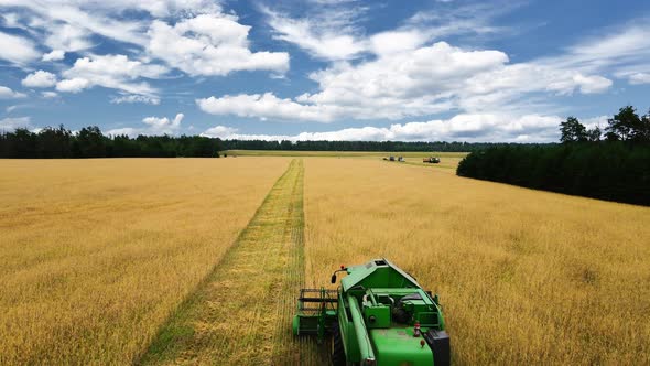 Drone flying over combine harvester working on wheat field  alt