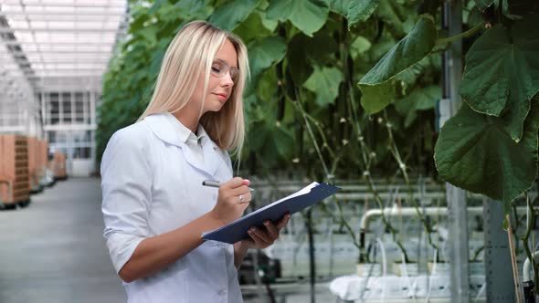 Female Botanical Scientist Analyzing Plant Growing Harvest Examination Making Notes at Greenhouse alt