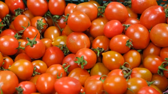 Cherry Tomatoes at the Vegetable Market alt