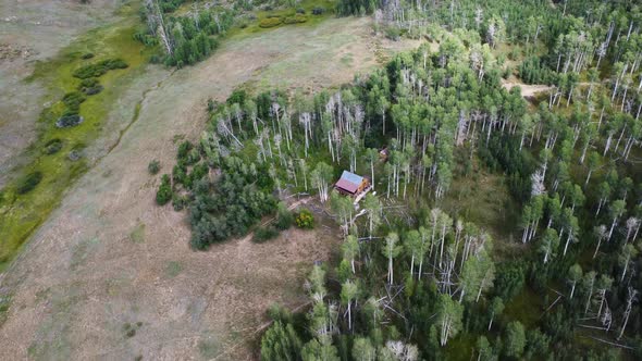 Aerial Footage of Cabin In Remote Wooded Area