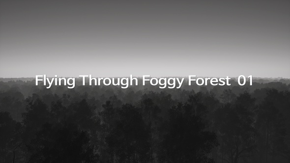 Flying Through Foggy Forest  01 alt