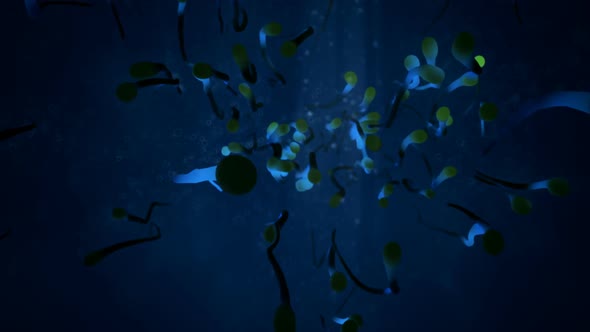 Close-up animation of a group of many blue, translucent worms or sperm cells.