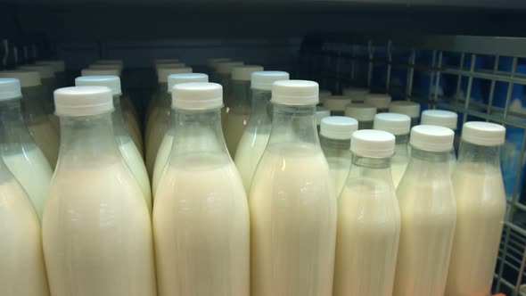 Bottled Milk on Shelf in Store