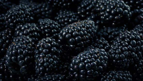 Bowl Of Blackberries Rotating alt
