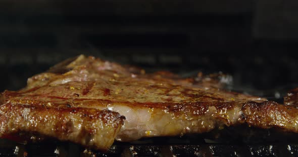 Juicy T-Bone Steak With Grill Marks 43b
