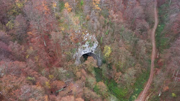 Flying Above a Monumental Cave Entrance Among Trees. Meziad, Romania alt