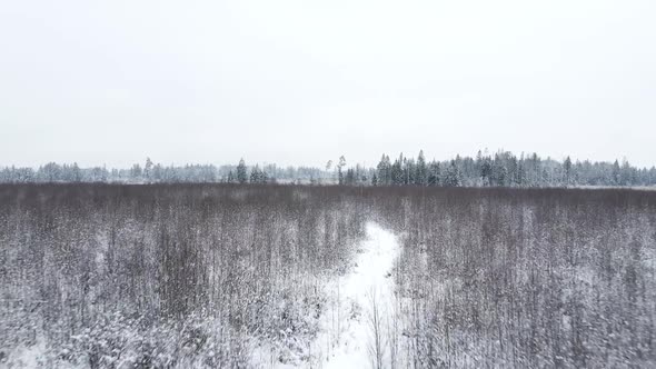 Winter Snow Covered Field with Forest and Path Flying alt