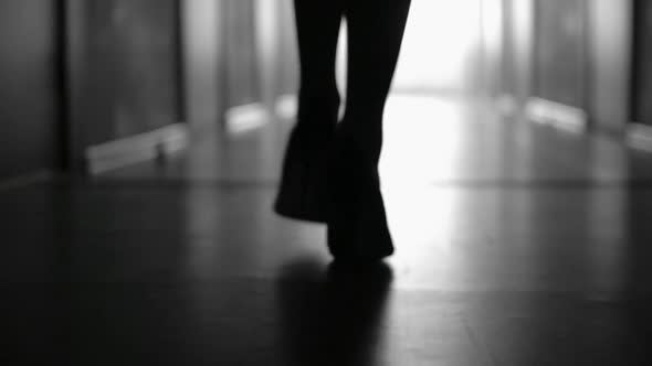 Silhouette of Female Legs in High Heels Walking alt