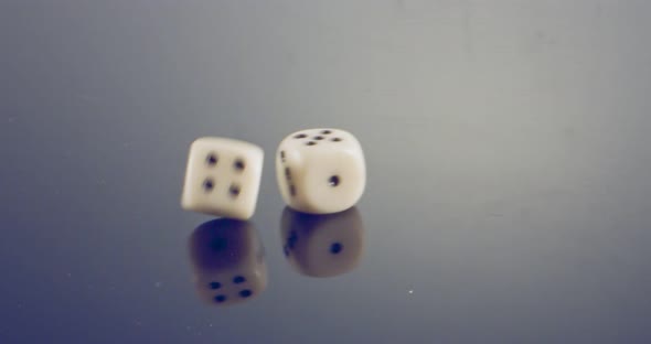 Slow motion macro shot of white dice falling and rolling on reflective surface alt
