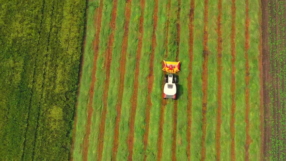 Aerial Top-down View of a Tractor Cutting Grain Moving on Beautiful Fresh Green Field.