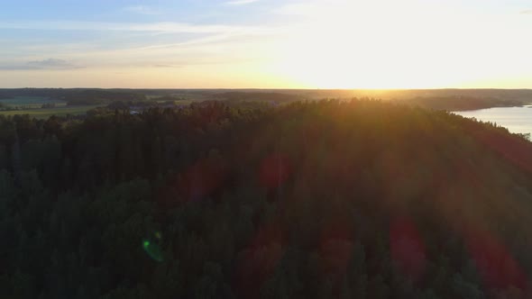 Forest Landscape at Sunset Aerial View