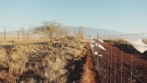 Tropical Hawaii Island Pollution  Footage Human Waste Flying on Wind Ecology alt
