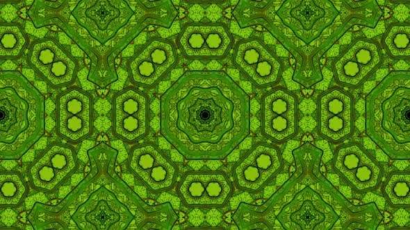 Green Organic Looped Kaleidoscope Background