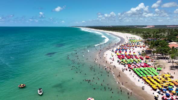 French Beach tropical tourism landmark at Maceio Alagoas Brazil. alt