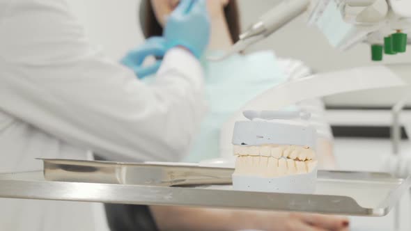 Cropped Shot of a Dental Mold at the Medical Tools Table of a Dentist