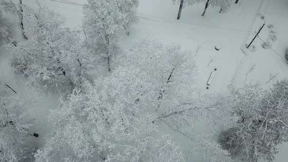 Park in the city covered in snow