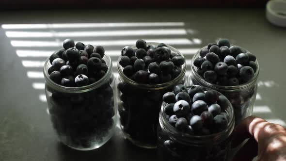 Fresh Blueberries