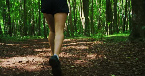 Woman Enjoying Trail Run in Forest alt