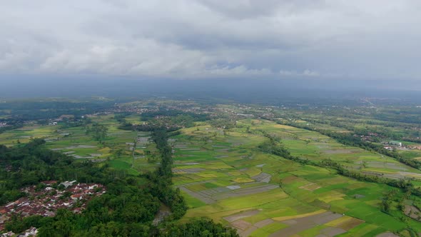 Small Indonesia villages and massive fields of rice, high angle drone view alt