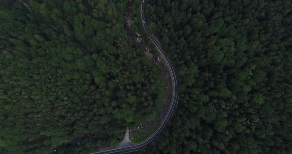 Aerial Road and Forest