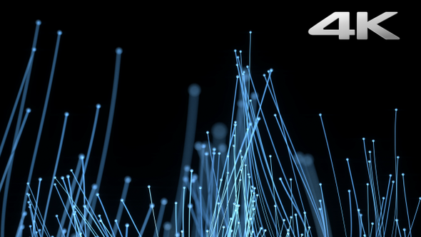 Particle Trails Growth