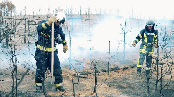 Male Firefighters are Extinguishing Residual Forest Fire alt