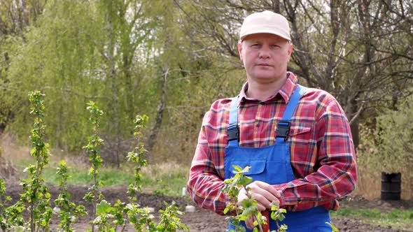 Portrait of Male Farmer in Plaid Shirt and Garden Overalls Standing in Vegetable Garden . Spring alt