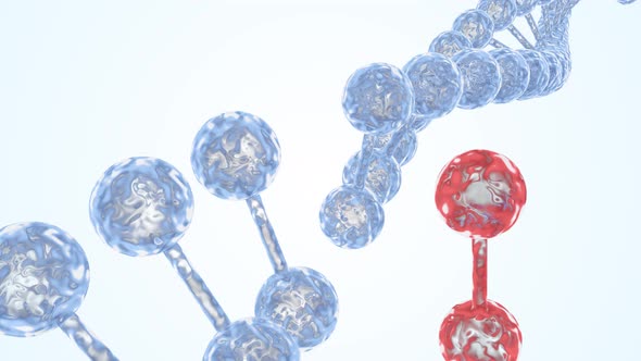 Violation of the functioning of a living organism. alt