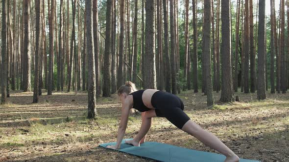 Flexible Fit Girl Practices Yoga Performs Surya Namaskar at Sunny Pine Forest