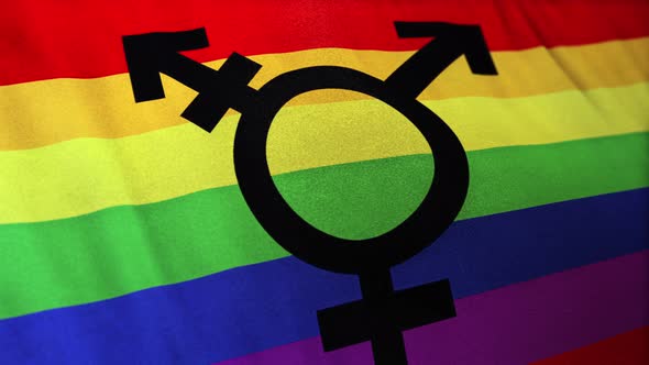 Transgender Bisexual Gay Pride Flag Loop
