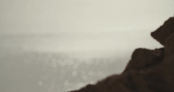 Tracking shot from above the Dead sea in israel alt