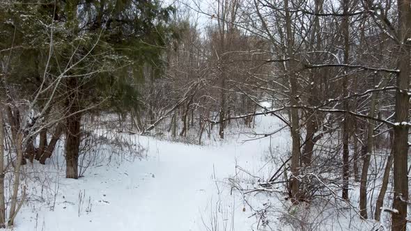 Path in winter forest, aerial view with white snow