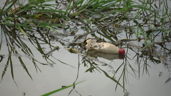 Plastic bottle at the river.  alt